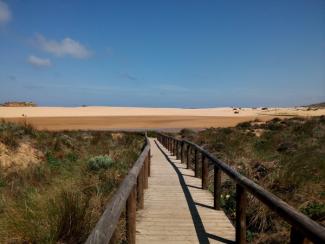 Boardwalk leading to a beach.